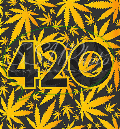 4205