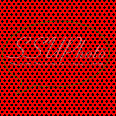 WWwallpapers01 (21)