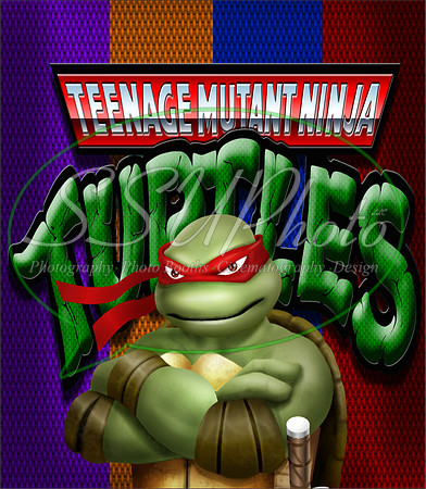 TMNT25