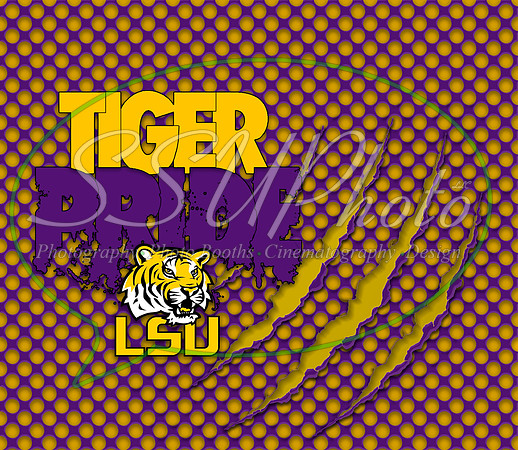 LSUpride