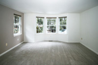 802meadowview00014
