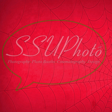 1 (6)Spidermanpattern