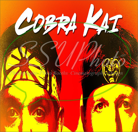 CobraKaiMixed15