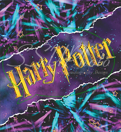 HarryPPatterns19
