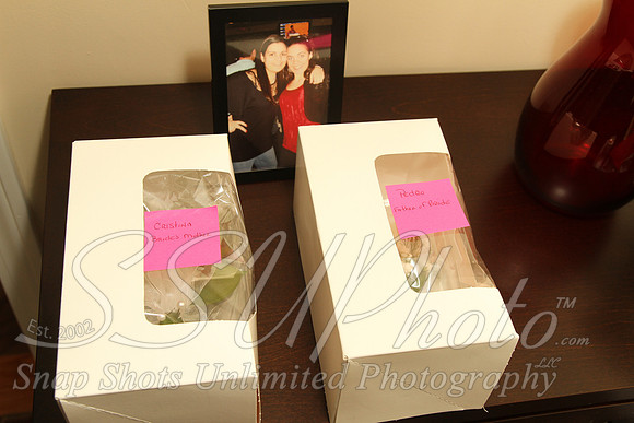 0150GettingReadyWedding