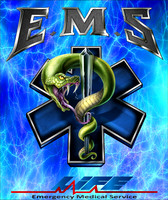 EMS9