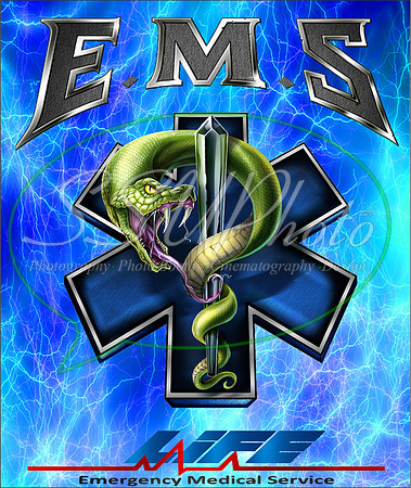 EMS9
