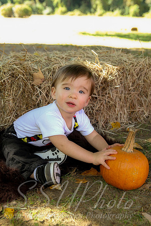 0093Owen1