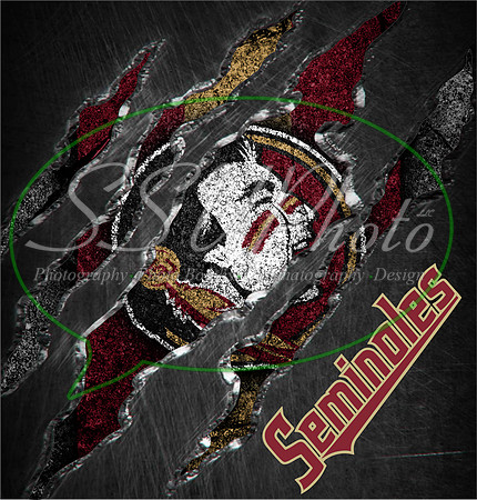 FSU11