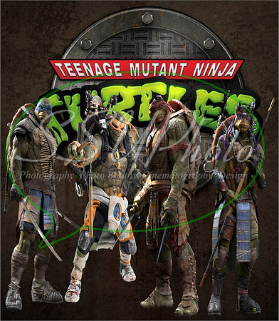 TMNT213