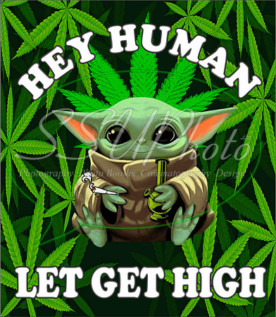 42032 2