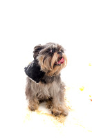 winnie00013
