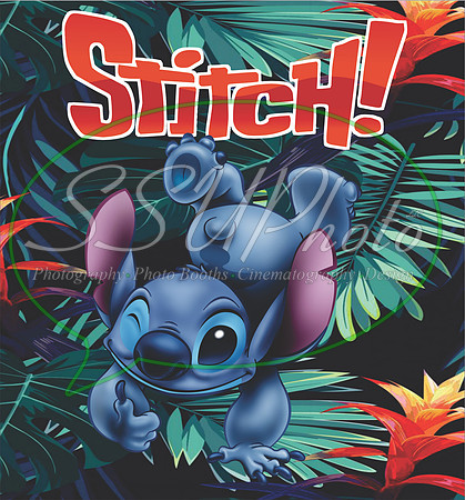 lilo and stitsch1lilo and stitch17