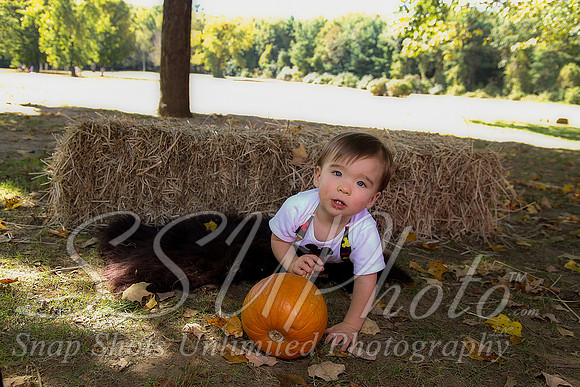 0098Owen1