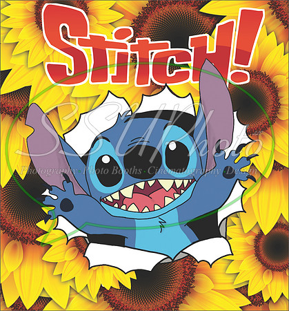 lilo and stitsch1lilo and stitch14