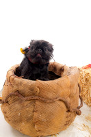 winnie00019