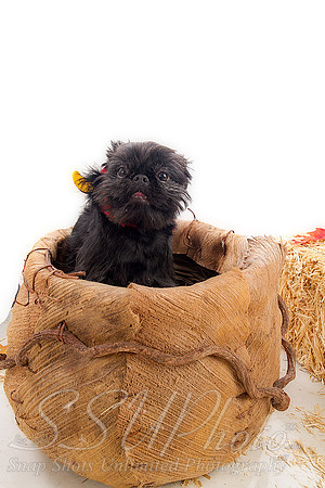 winnie00019