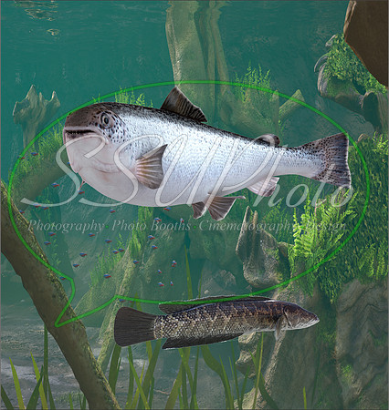 3d Fishing15