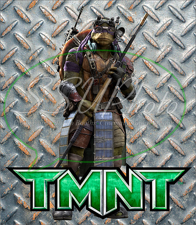 TMNT219