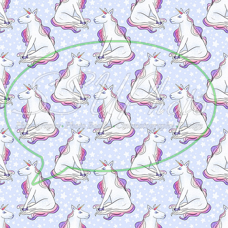 Unicornfun01 (23)