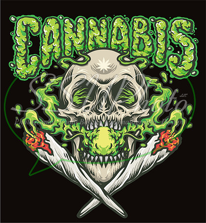 4201