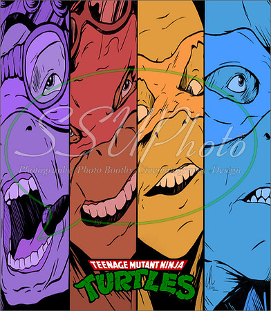 TMNT26