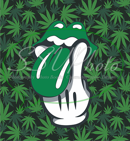 4203