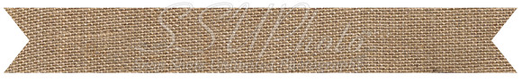 burlap-banner-copy