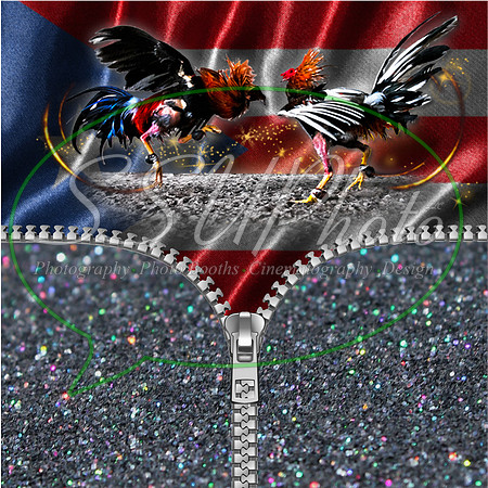 Purterico4