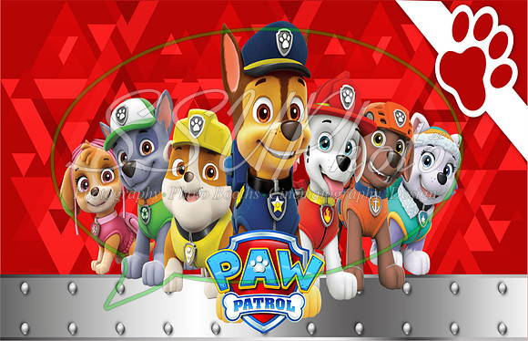paw patrol pop up11