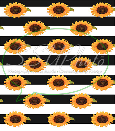 Sunflowers14