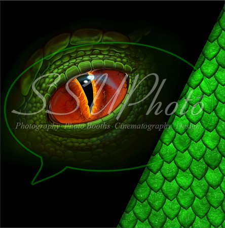 DragonEyes22