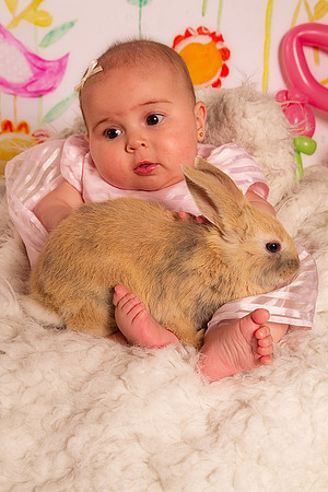 Sullivaneaster0082