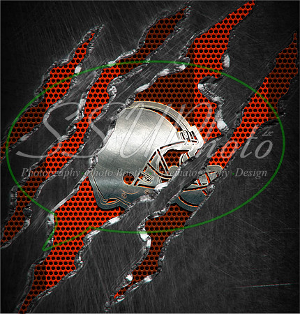 15tornnfl