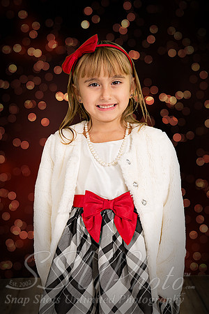 rosachristmas201500004