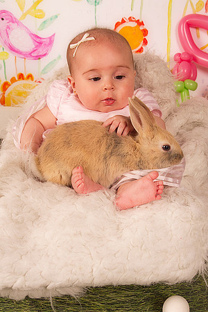 Sullivaneaster0083