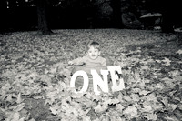 family20120007