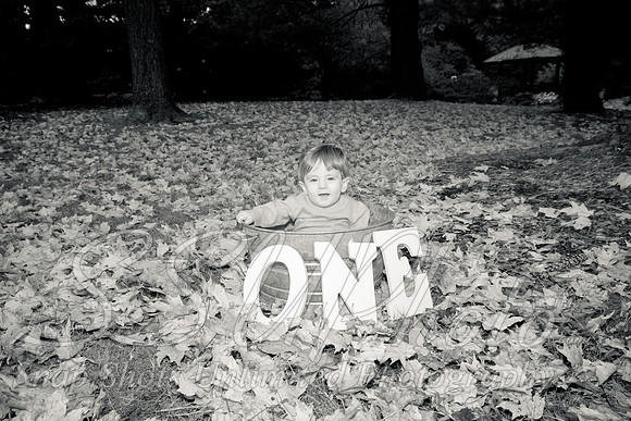 family20120007