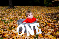 family20120012