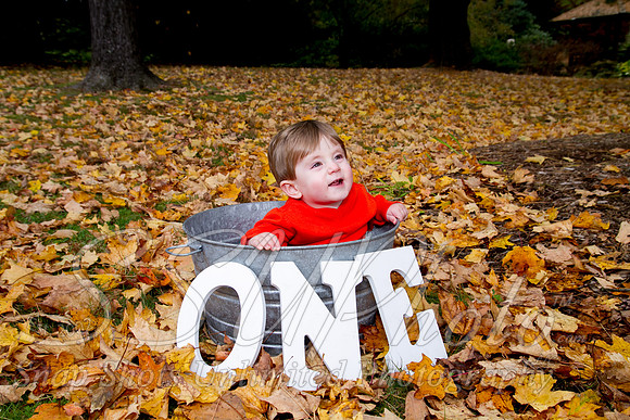 family20120012