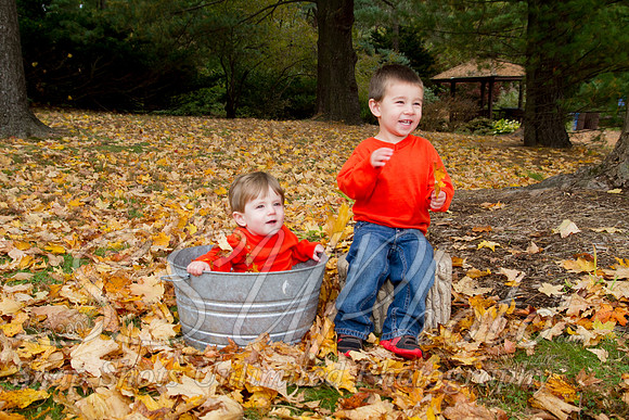 family20120015