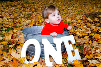 family20120011