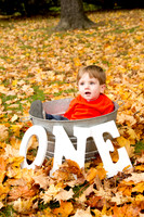 family20120006