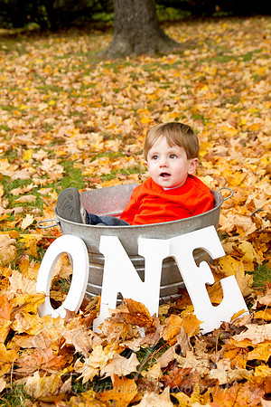 family20120006