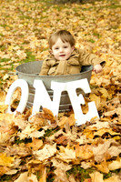 family20120003