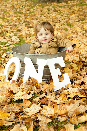 family20120003