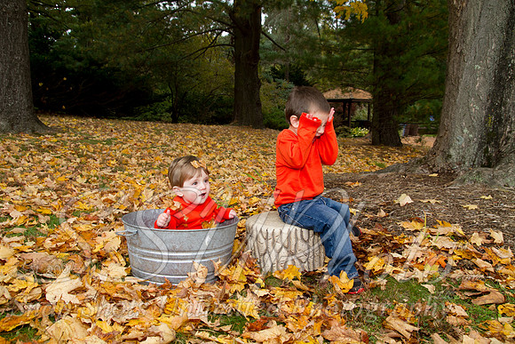 family20120024
