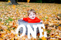 family20120010