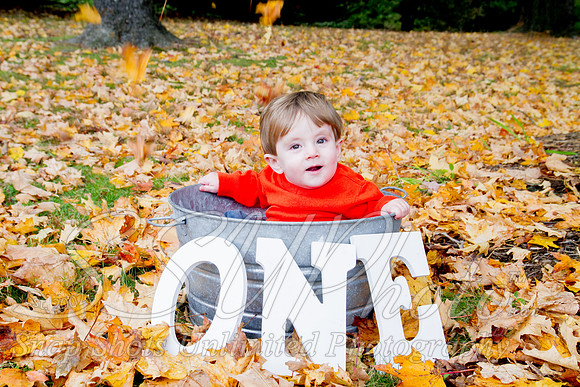 family20120010