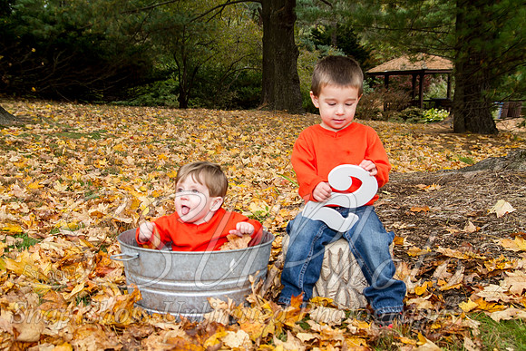family20120026